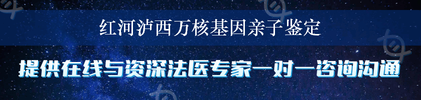 红河泸西万核基因亲子鉴定